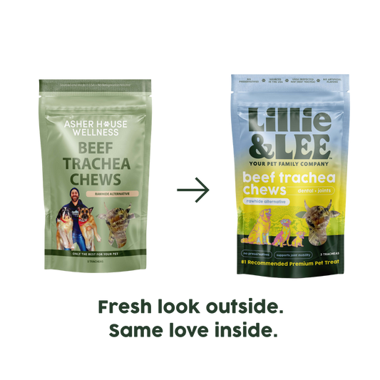 Beef Trachea Chews | Dental + Joint