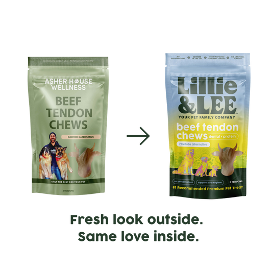 Beef Tendon Chews | Dental + Joint