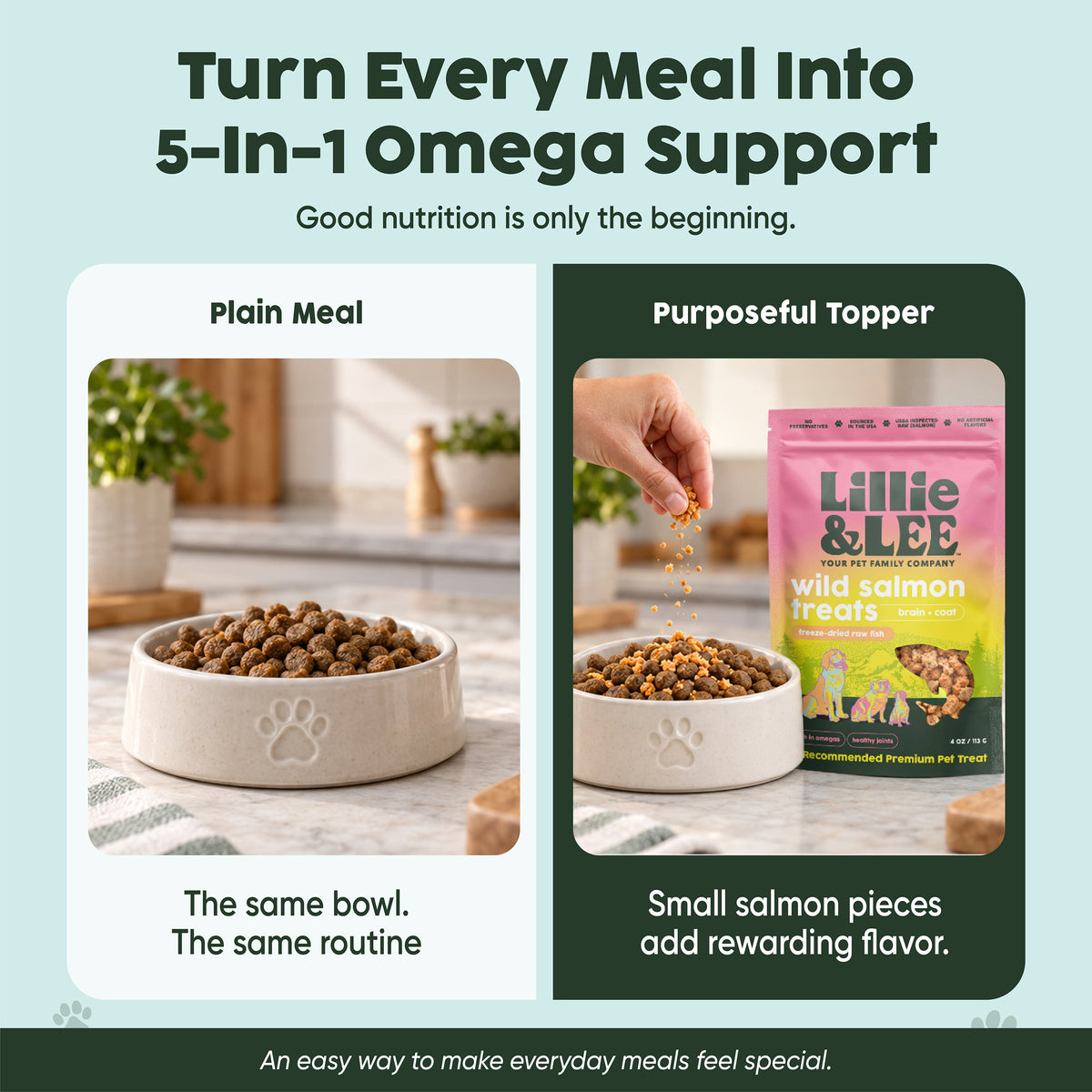 Wild Salmon Food Topper Treats | Brain + Coat