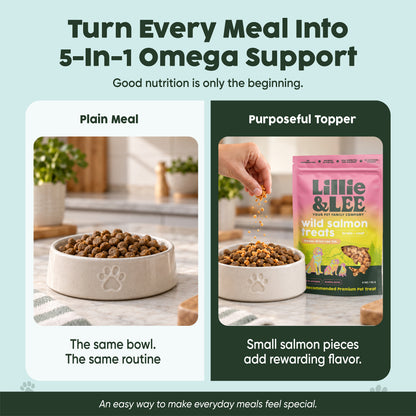 Wild Salmon Food Topper Treats | Brain + Coat