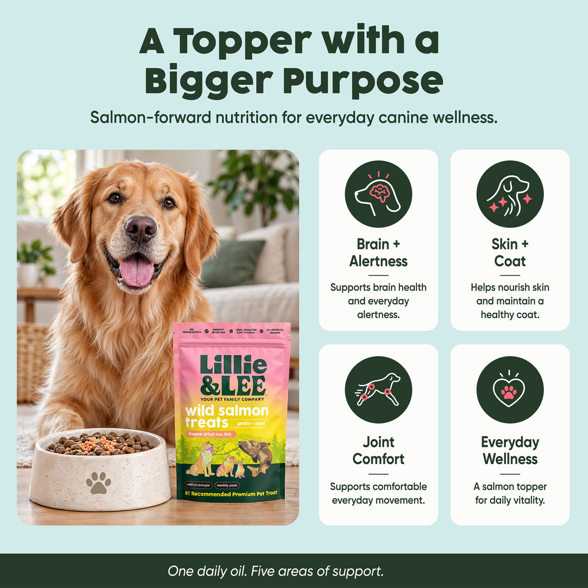 Wild Salmon Food Topper Treats | Brain + Coat
