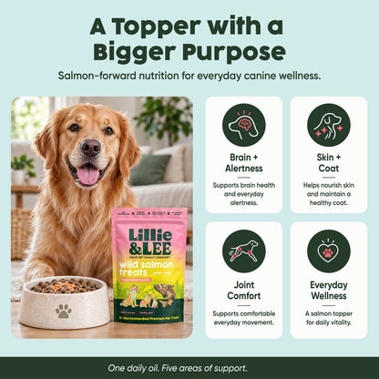 Wild Salmon Food Topper Treats | Brain + Coat