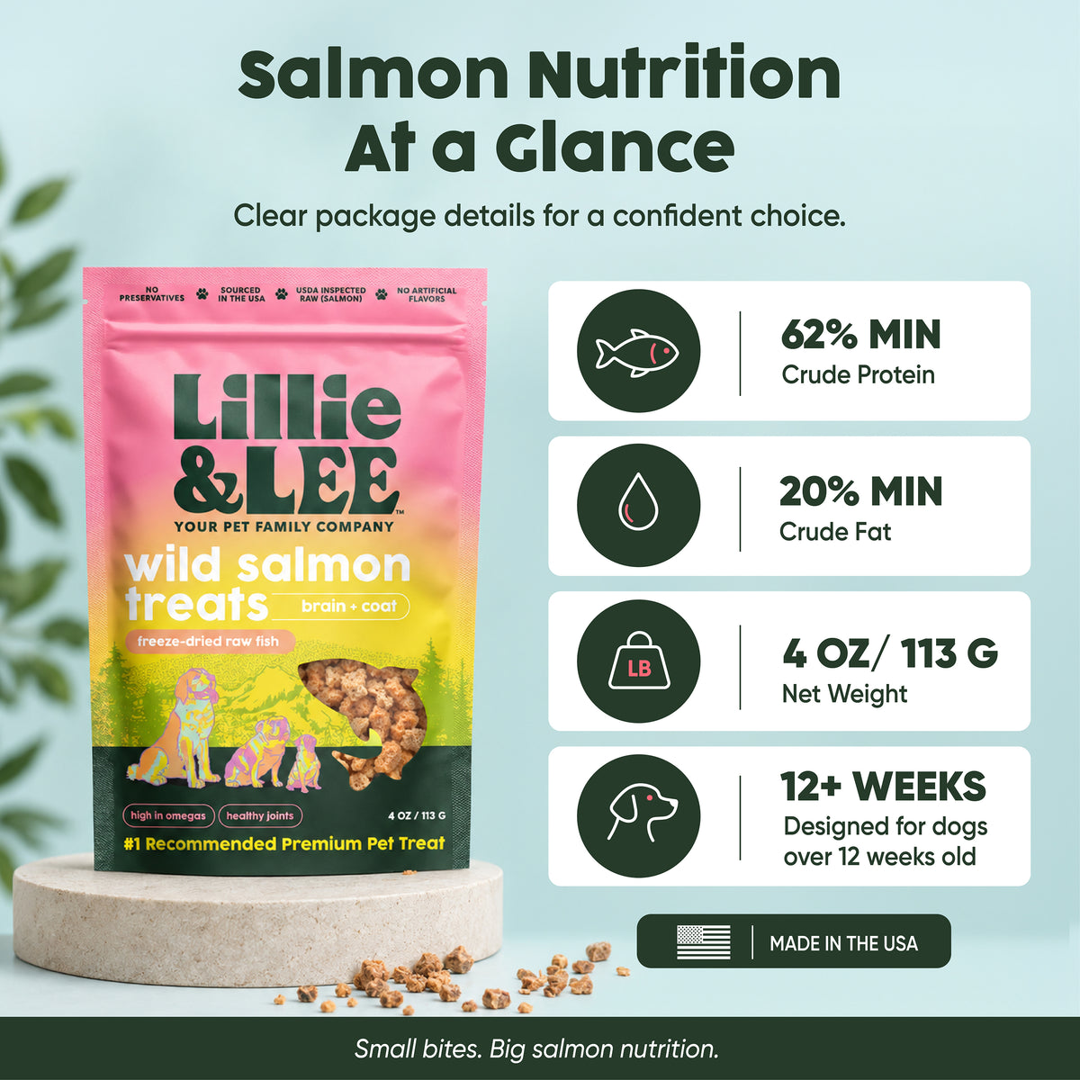 Wild Salmon Food Topper Treats | Brain + Coat