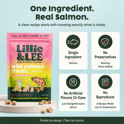 Wild Salmon Food Topper Treats | Brain + Coat