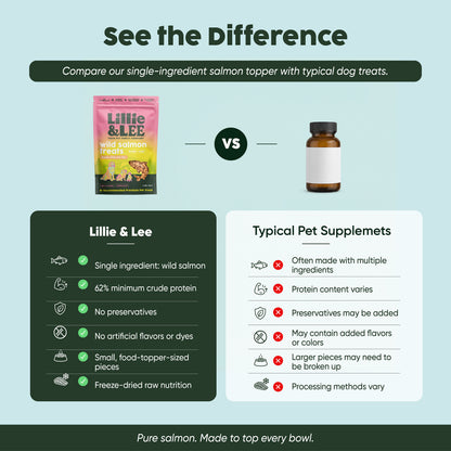 Wild Salmon Food Topper Treats | Brain + Coat