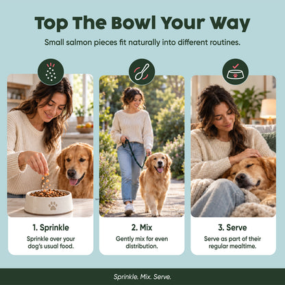 Wild Salmon Food Topper Treats | Brain + Coat