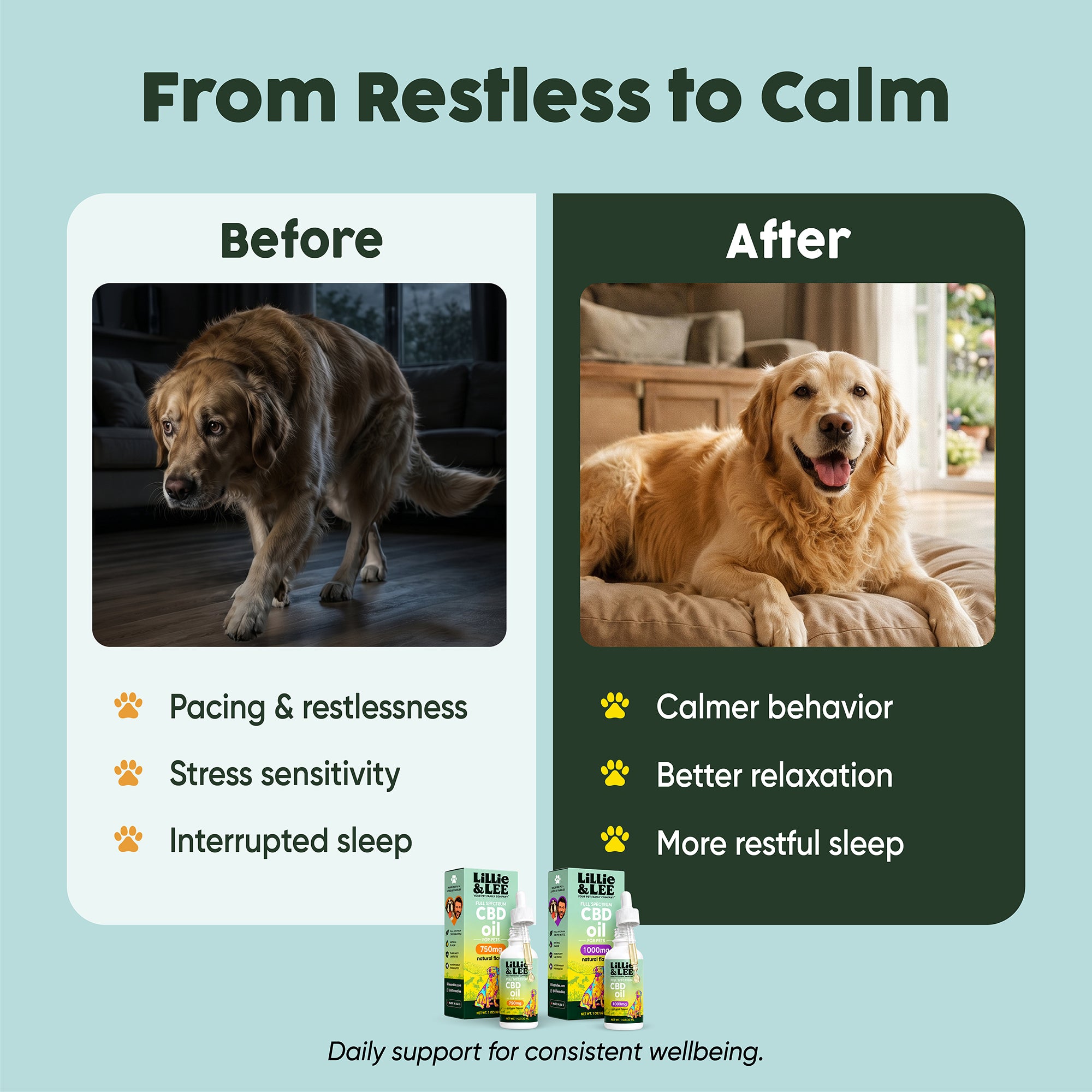 The Progress Pack - for Pets – Lillie&Lee