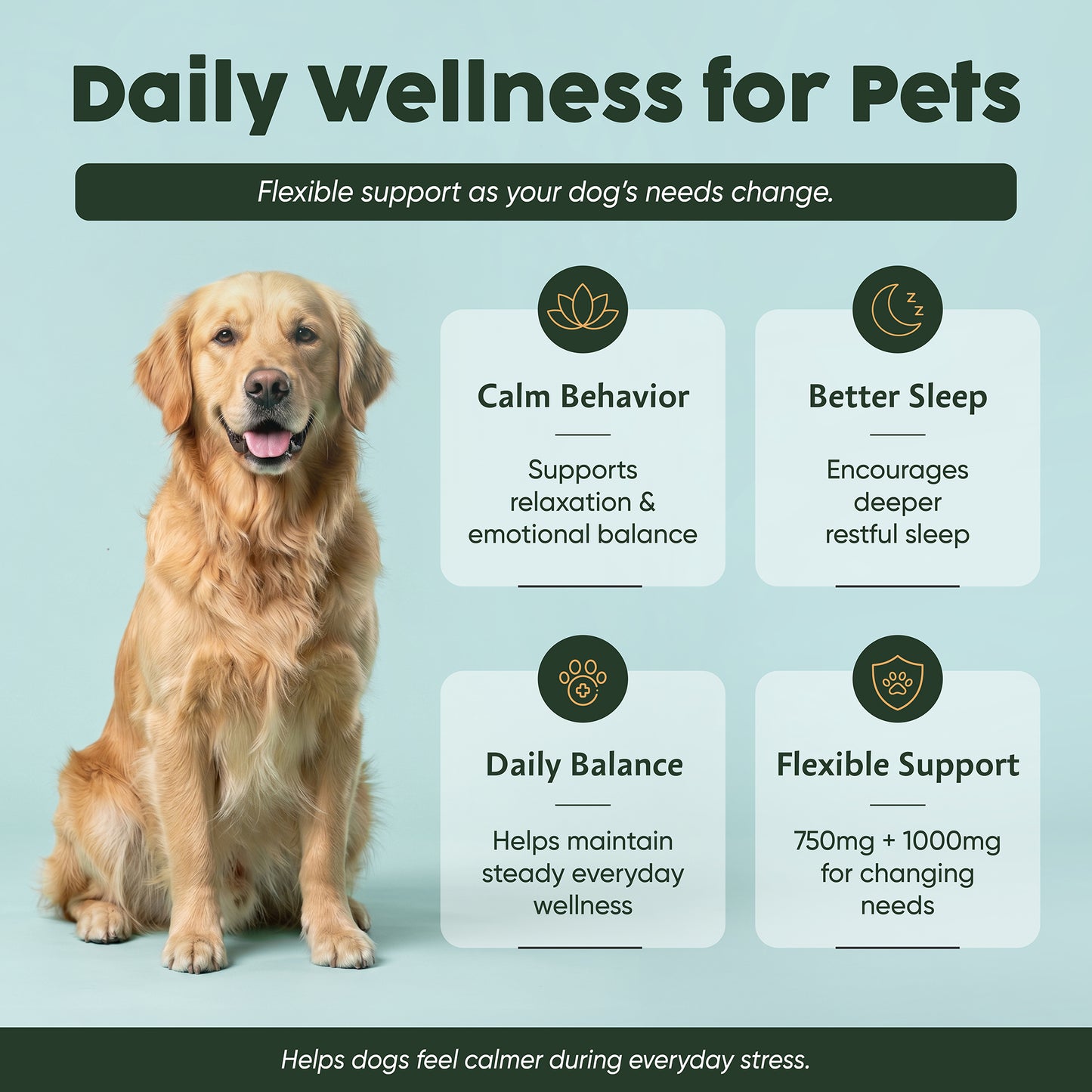 The Progress Pack - for Pets