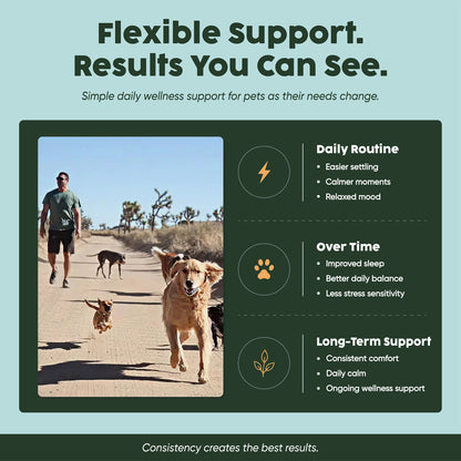 The Progress Pack - for Pets