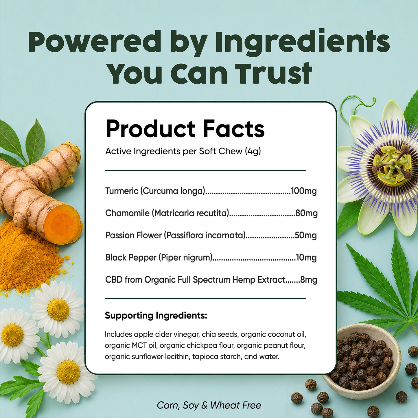 CBD Soft Chews | Calm + Comfort - for Pets