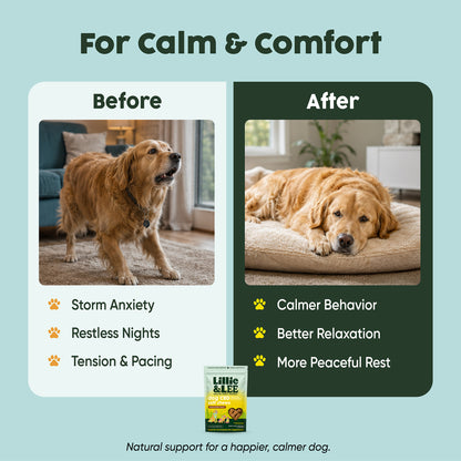CBD Soft Chews | Calm + Comfort - for Pets
