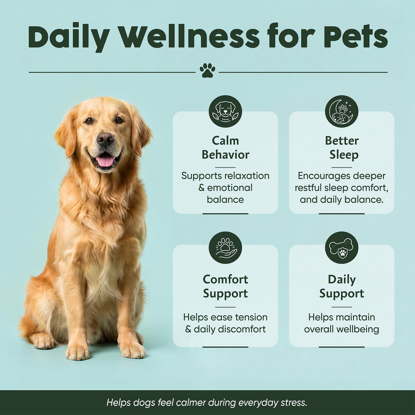 CBD Soft Chews | Calm + Comfort - for Pets