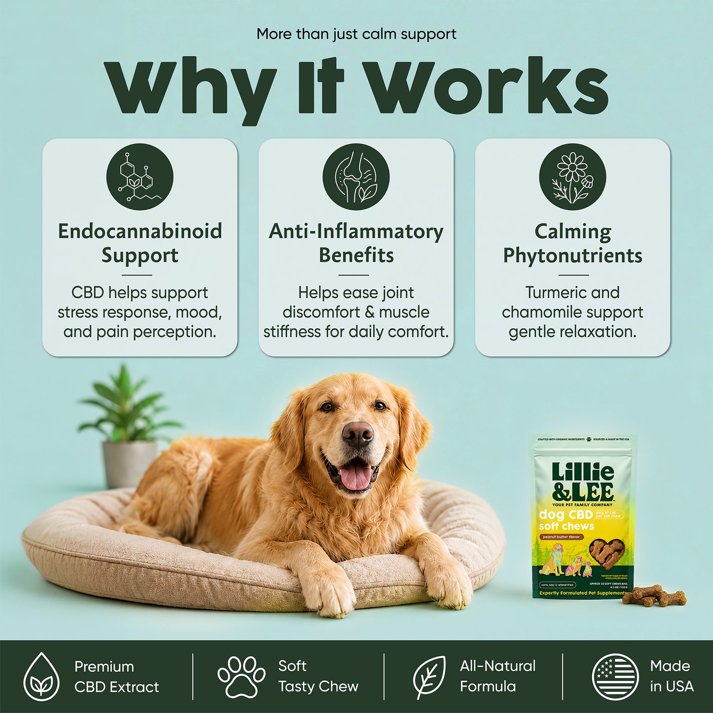 CBD Soft Chews | Calm + Comfort - for Pets