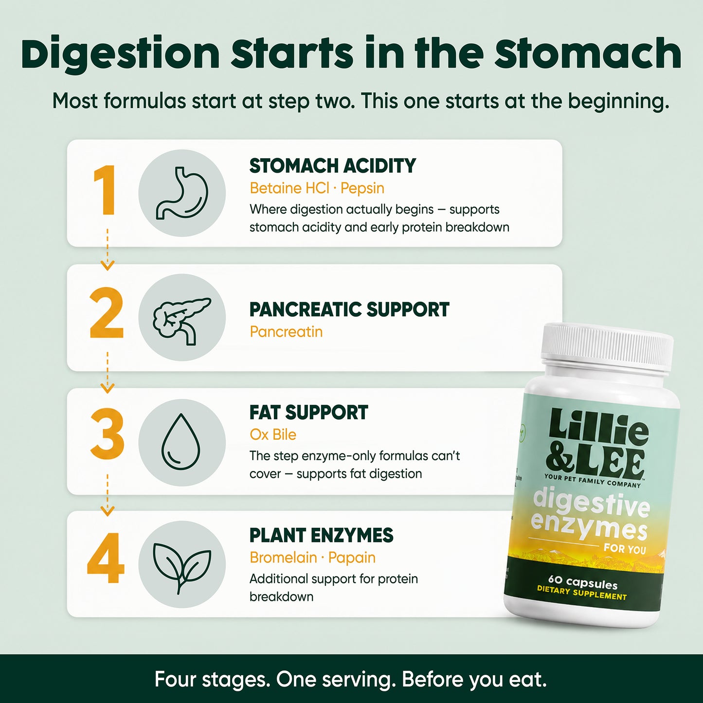 Digestive Enzymes | Digest + Comfort