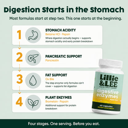 Digestive Enzymes | Digest + Comfort