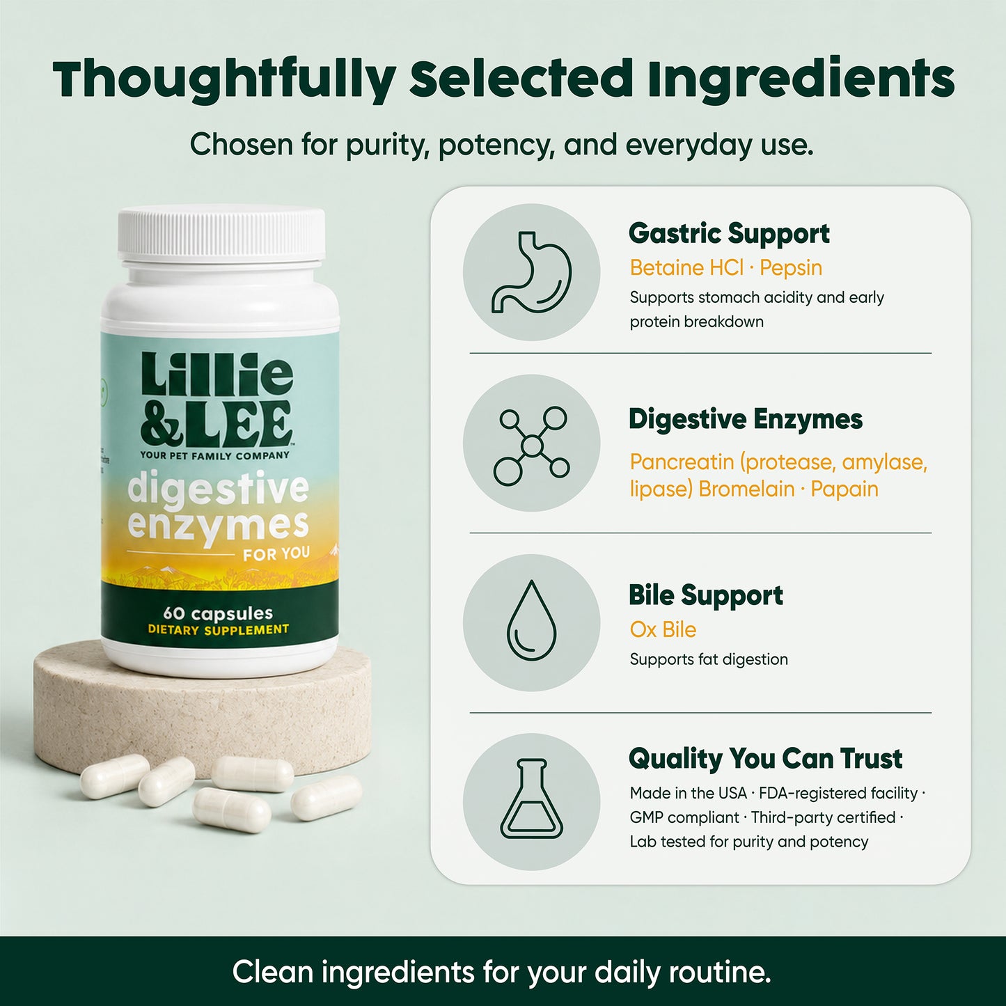 Digestive Enzymes | Digest + Comfort
