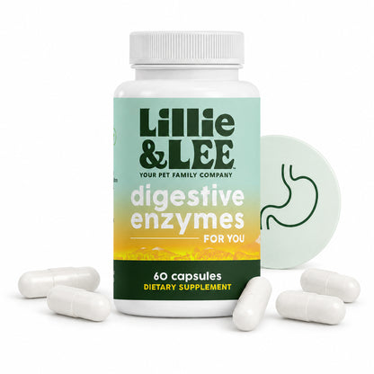 Digestive Enzymes | Digest + Comfort