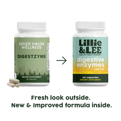 Digestive Enzymes | Digest + Comfort