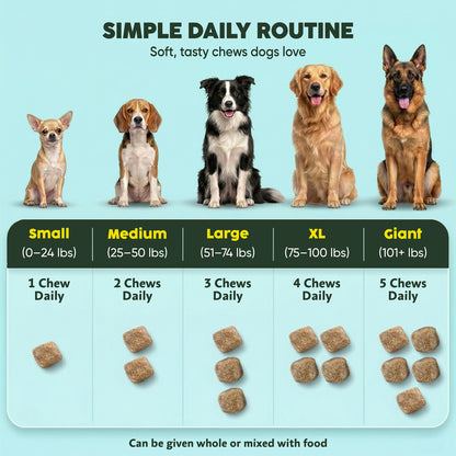 Multi-Vitamin Chews | Energy + Defense