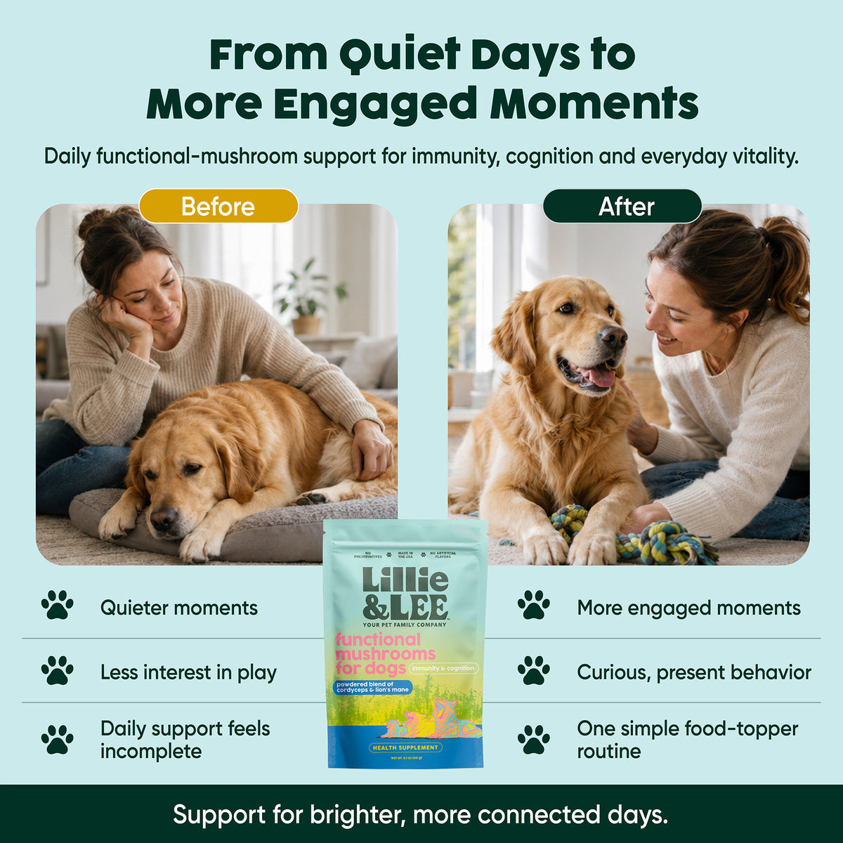 Functional Mushrooms for Dogs | Immunity & Cognition
