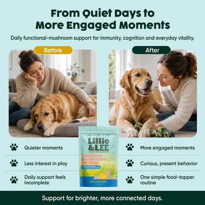 Functional Mushrooms for Dogs | Immunity & Cognition