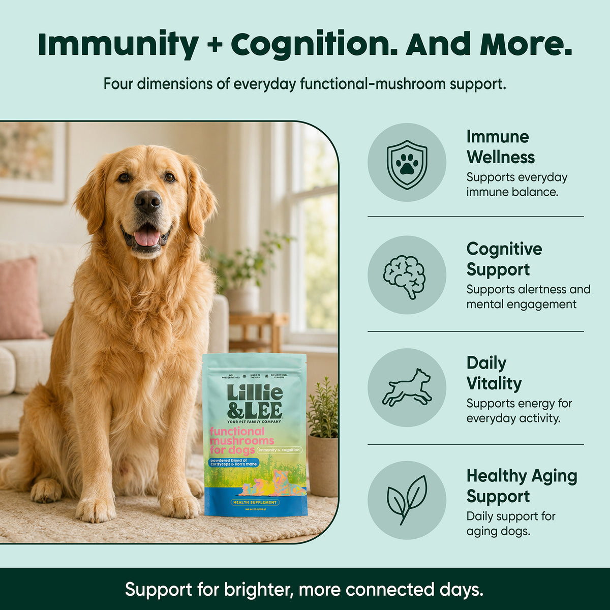 Functional Mushrooms for Dogs | Immunity & Cognition