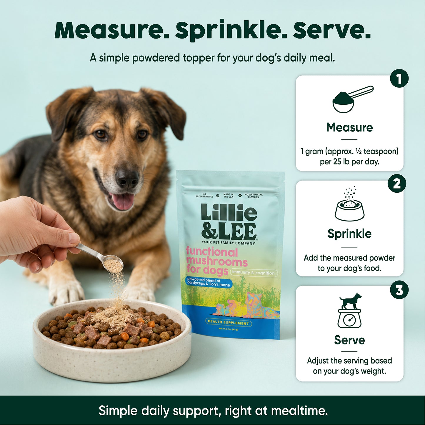 Functional Mushrooms for Dogs | Immunity & Cognition