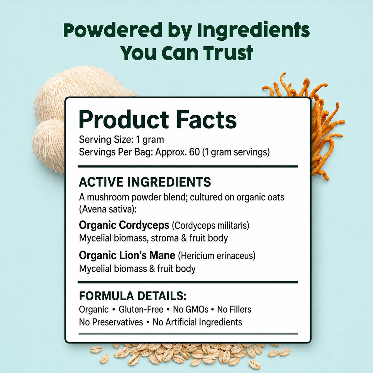 Functional Mushrooms for Dogs | Immunity & Cognition