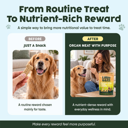 Chicken Liver Treats | Glow + Strength