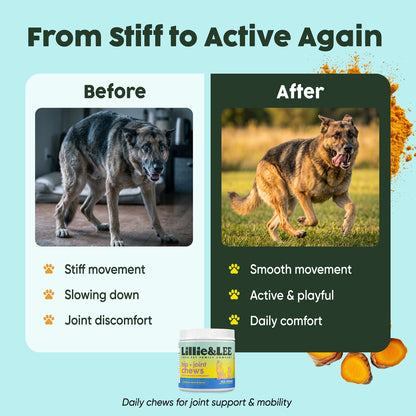 Hip & Joint Chews | Flex + Relief