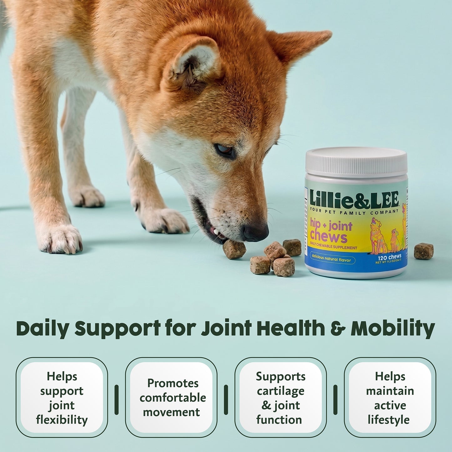 Hip & Joint Chews | Flex + Relief