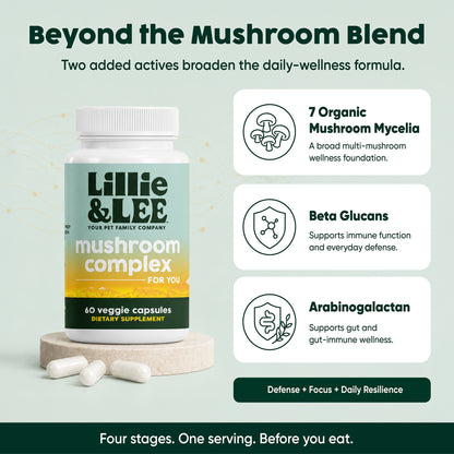 Mushroom Complex Supplement | Defense + Focus