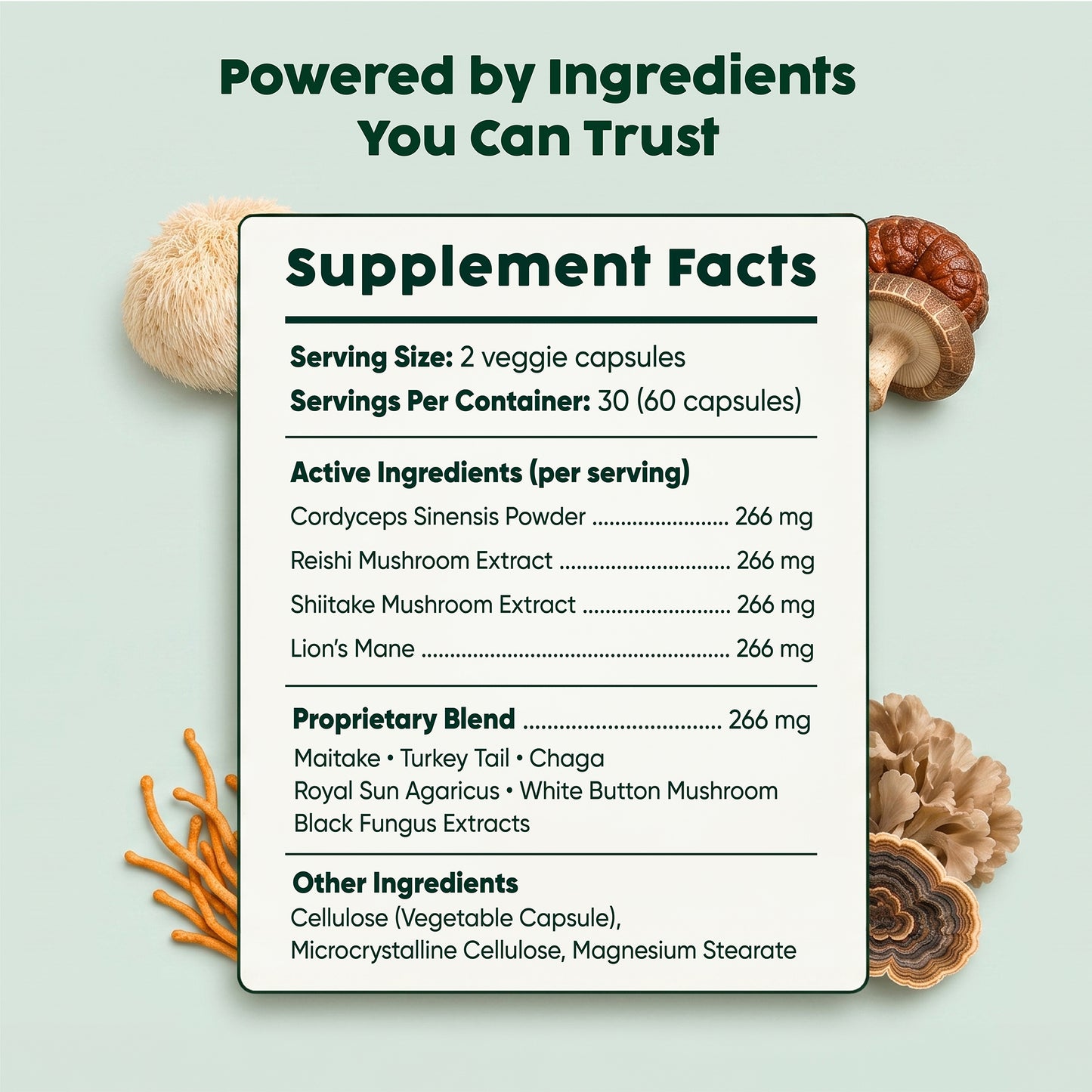 Mushroom Complex Supplement | Defense + Focus