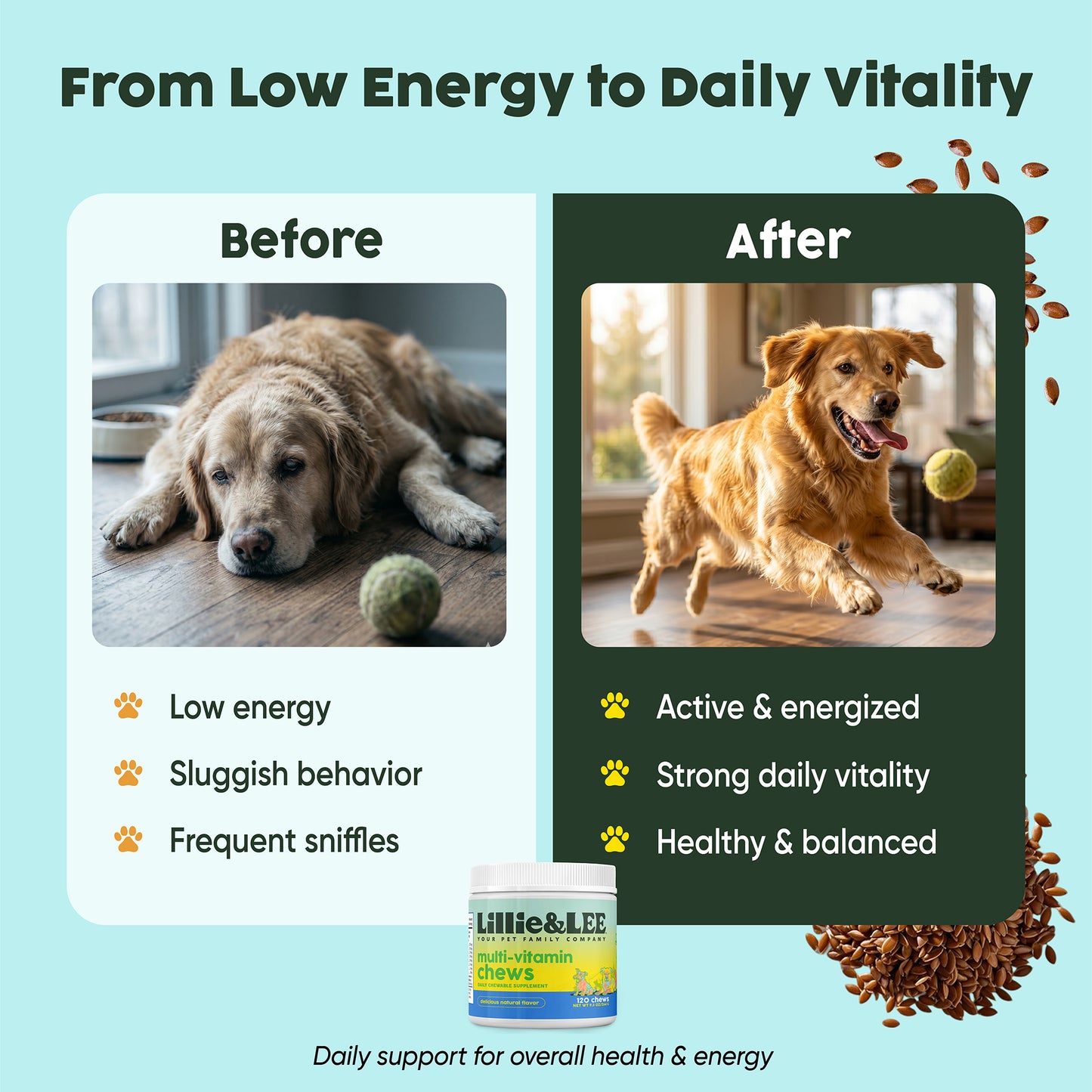 Multi-Vitamin Chews | Energy + Defense