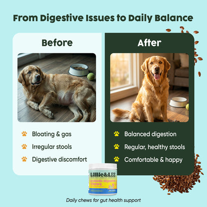 Probiotic Digestive Chews | Flora + Flourish