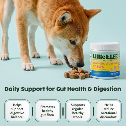 Probiotic Digestive Chews | Flora + Flourish