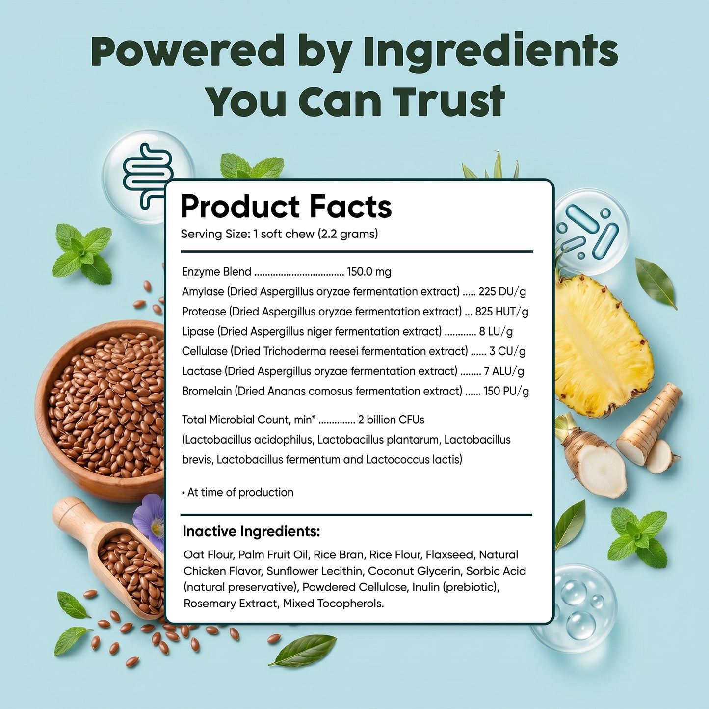 Probiotic Digestive Chews | Flora + Flourish